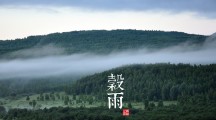 王軍接受記者采訪回應(yīng)稅收熱點(diǎn)問(wèn)題 
